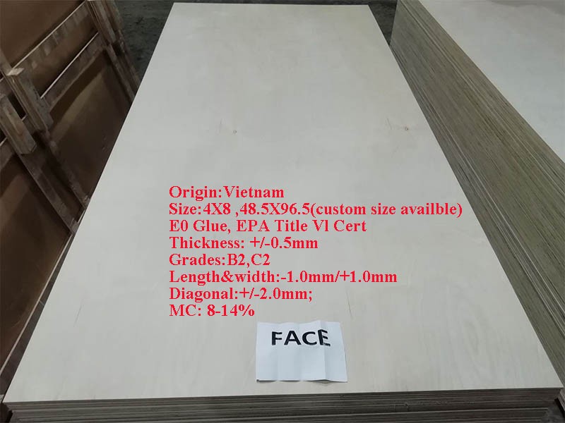 Vietnam 9.0MM Birch Plywood